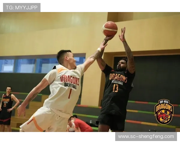 香港翼龙队是CBA还是足球：解析香港翼龙队在CBA和足球中的身份