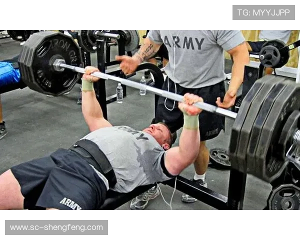 力量训练必备健身器材哑铃种类与选择建议