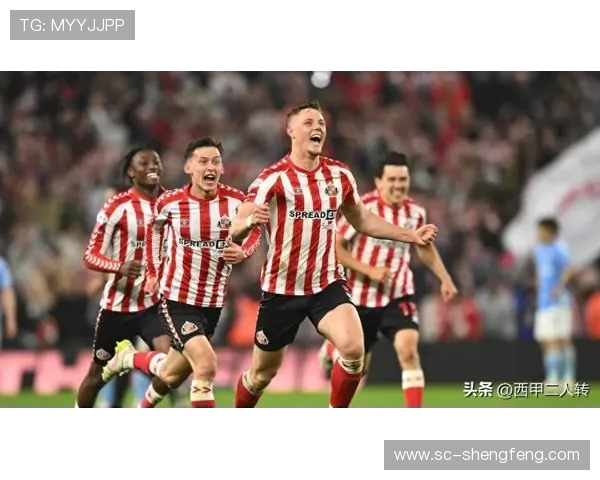 新赛季晋级英超的升班马球队介绍及前景预测