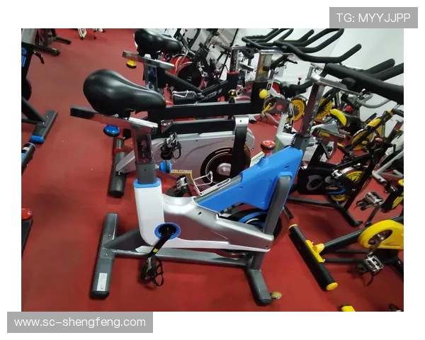 素质训练中常用健身器材的选型与配置