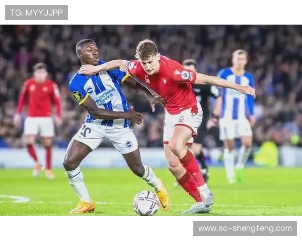 英超球队和德甲球队:英超球队与德甲球队之间的竞技差异与合作 英超球队和德甲球队:英超球队与德甲球队之间的竞技差异与合作