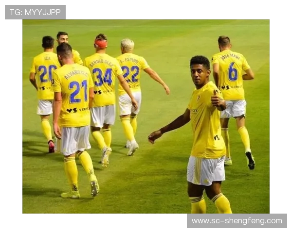 西甲乙级联赛一共多少轮比赛及升级规则说明 西甲乙级联赛一共多少轮比赛及升级规则说明