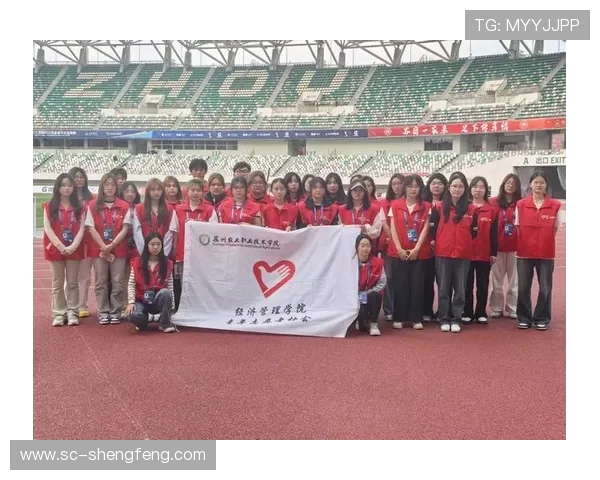 足球赛事中的志愿者与组织者，如何为赛事提供支持