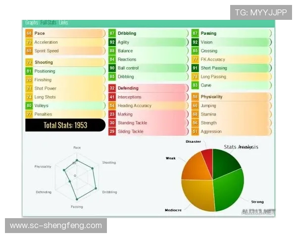 防守覆盖与组织核心：单后腰的比赛阅读能力养成