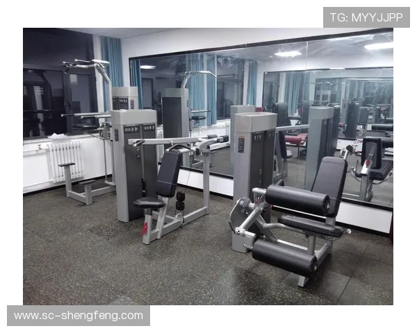 高效瘦腹健身器材推荐与使用指南