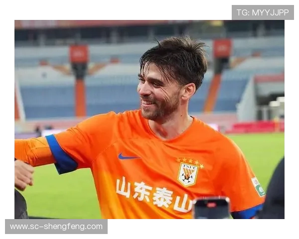 鲁能旧将加盟意甲升班马成功官宣 新援为球队注入新动力