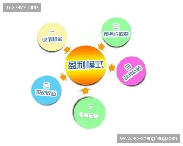 德甲俱乐部盈利模式及收入结构详解 德甲俱乐部盈利模式及收入结构详解