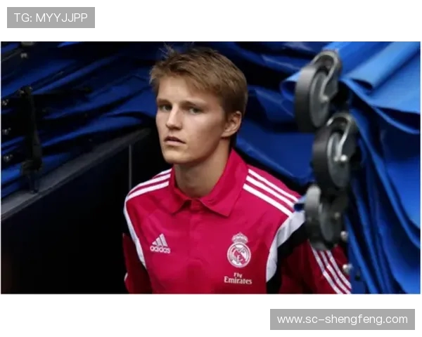 德甲所有球队官方英文缩写对照表 德甲所有球队官方英文缩写对照表