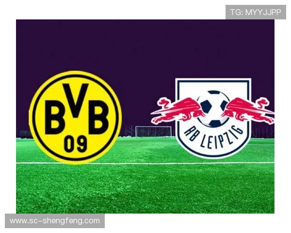 德甲联赛知名球队与城市分布完整一览