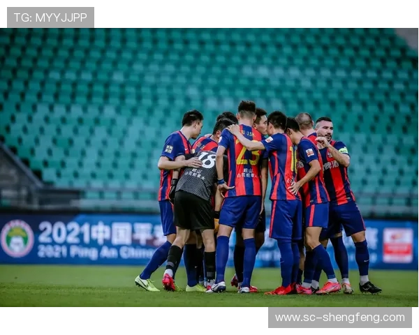 法甲球队粉丝基础及球迷市场发展潜力研究