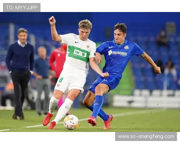 澳客网历年西甲积分榜数据汇总与趋势分析