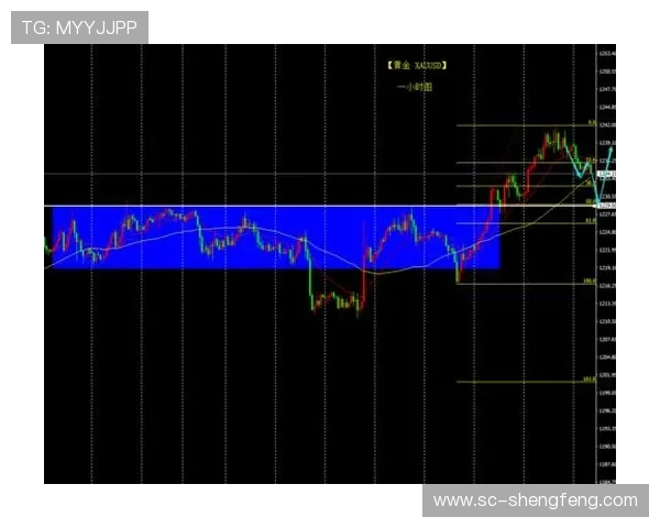 伊朗对阵西班牙欧盘与亚盘赔率差异深度对比解析比赛走势与投资思路