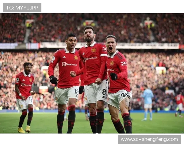 英超球员完整列表及体育竞技状态详解